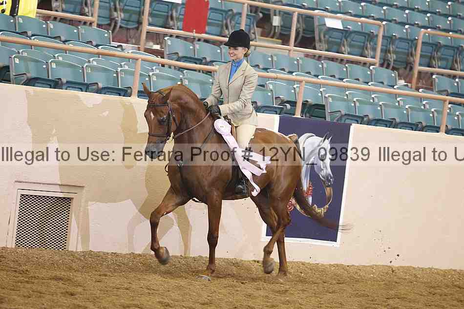 Proof 12yn_09839