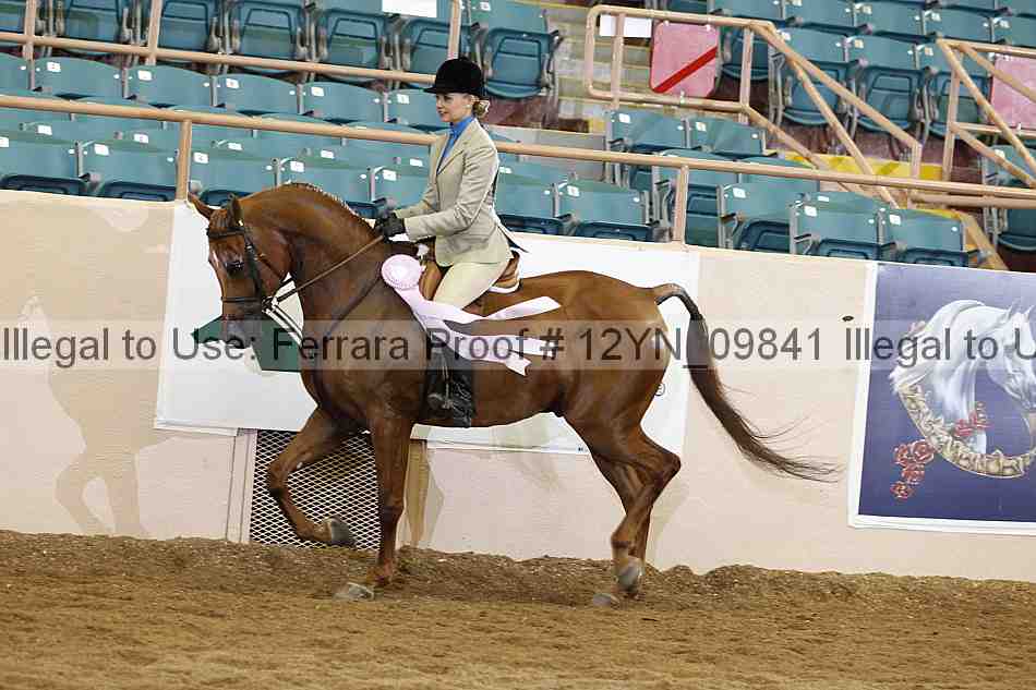 Proof 12yn_09841