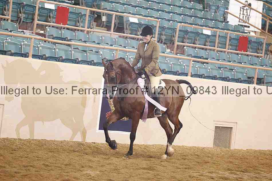 Proof 12yn_09843