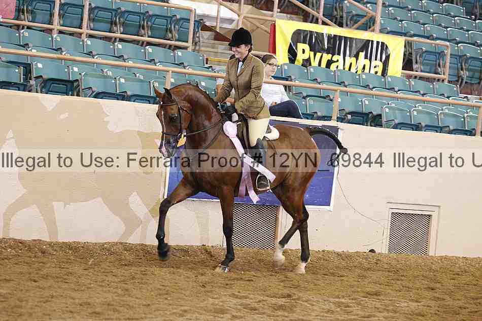Proof 12yn_09844