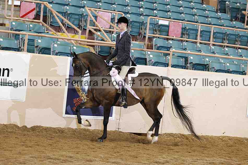 Proof 12yn_09847