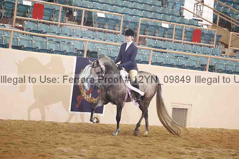 Proof 12yn_09849
