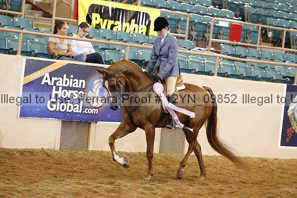 Proof 12yn_09852
