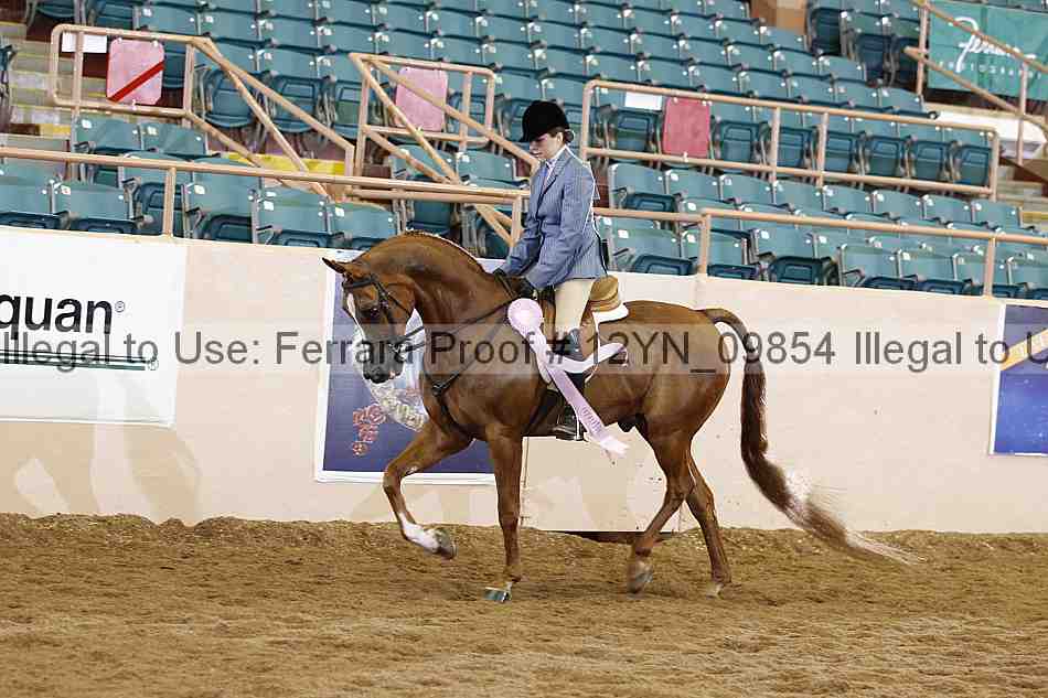 Proof 12yn_09854