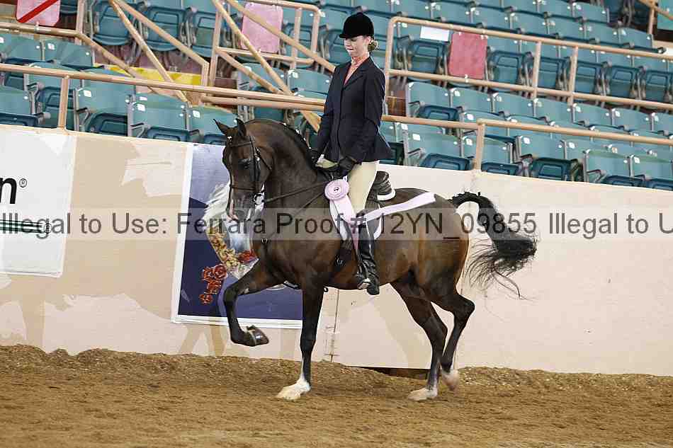 Proof 12yn_09855