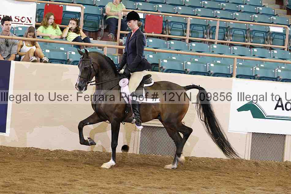 Proof 12yn_09856