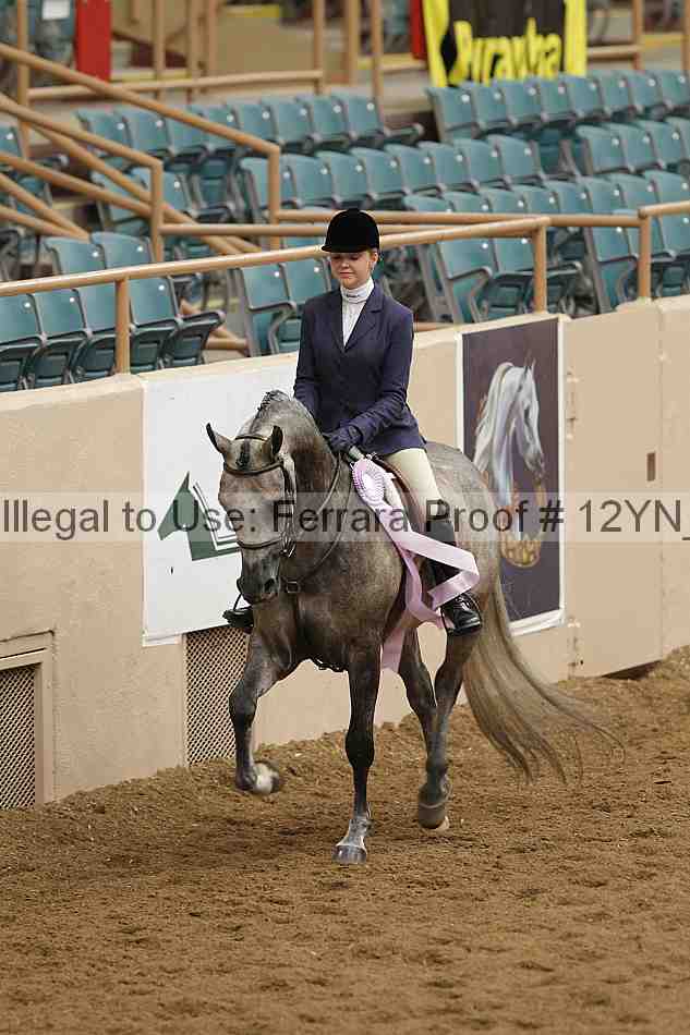 Proof 12yn_09857