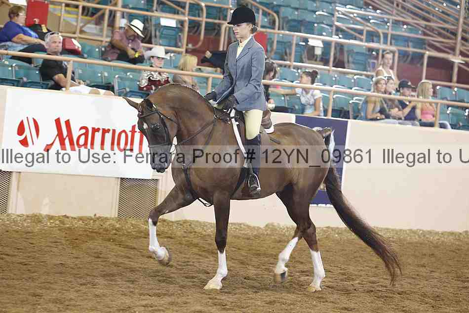 Proof 12yn_09861