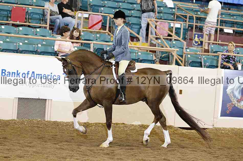 Proof 12yn_09864