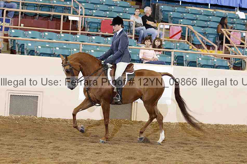 Proof 12yn_09866