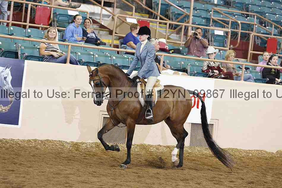 Proof 12yn_09867