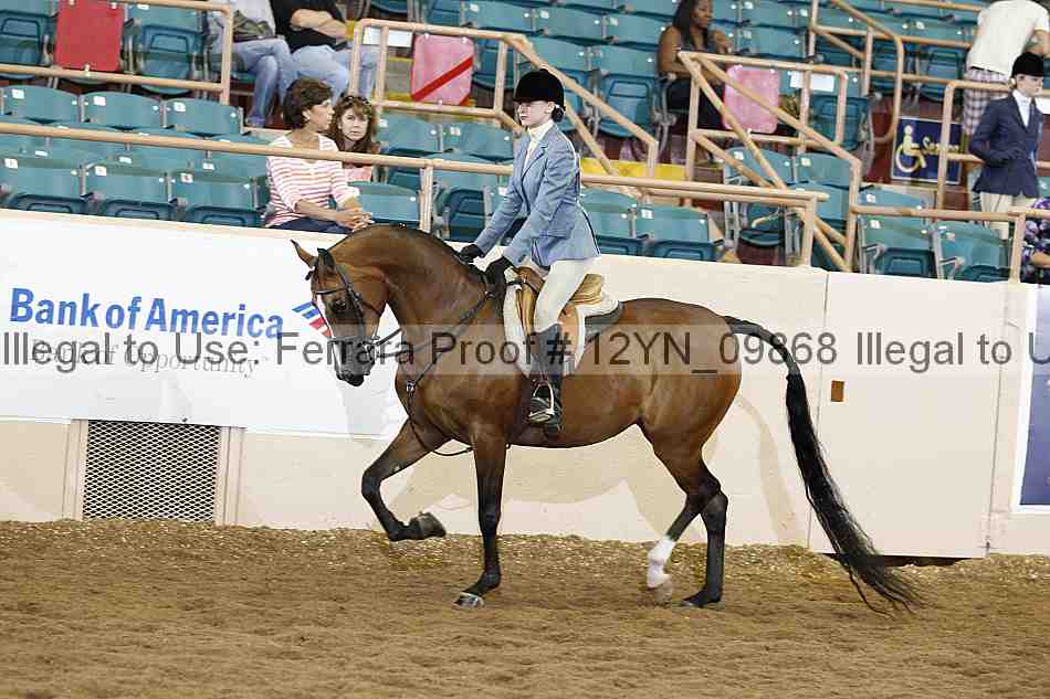 Proof 12yn_09868