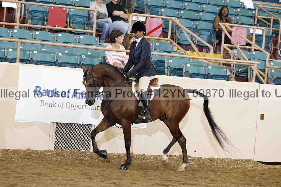 Proof 12yn_09870