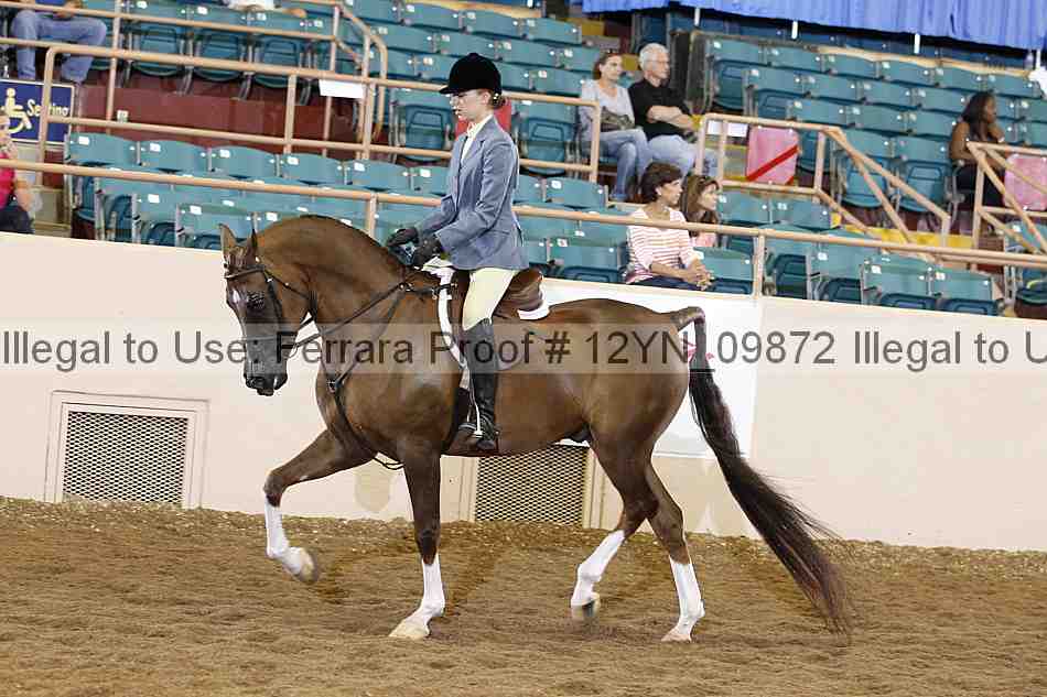 Proof 12yn_09872