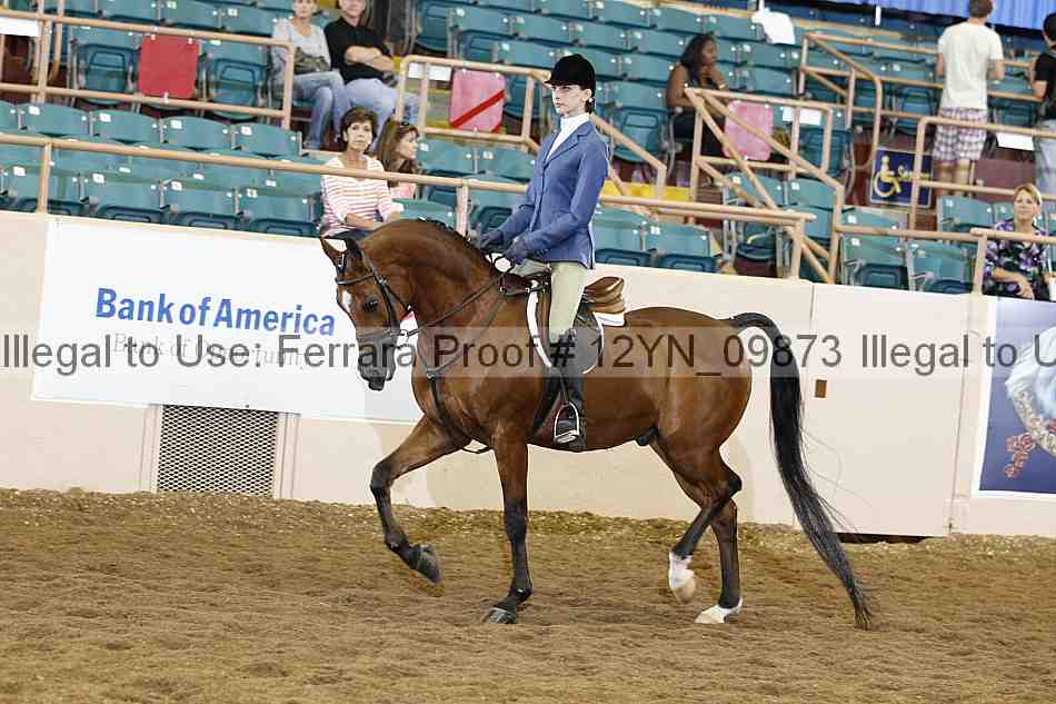 Proof 12yn_09873