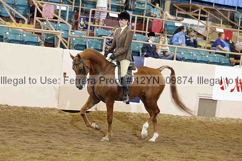 Proof 12yn_09874