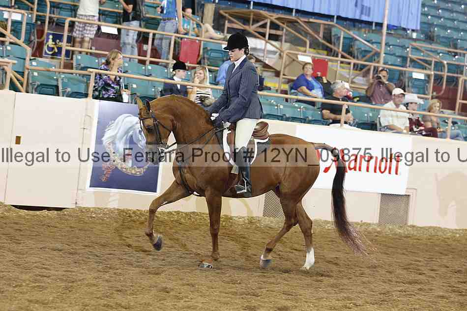 Proof 12yn_09875