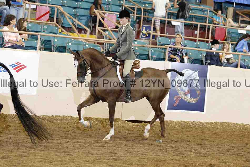 Proof 12yn_09877