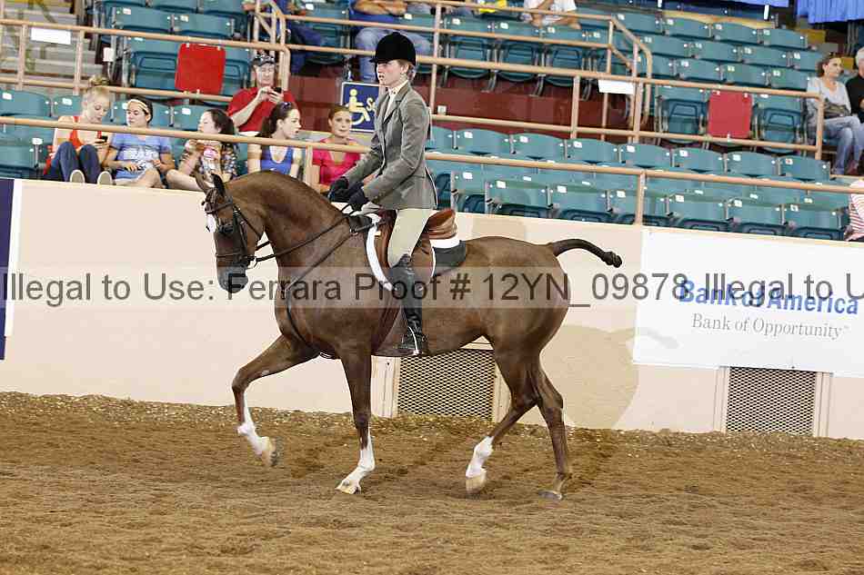 Proof 12yn_09878