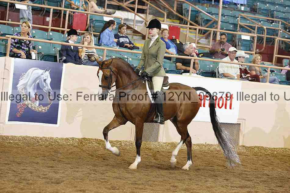 Proof 12yn_09879