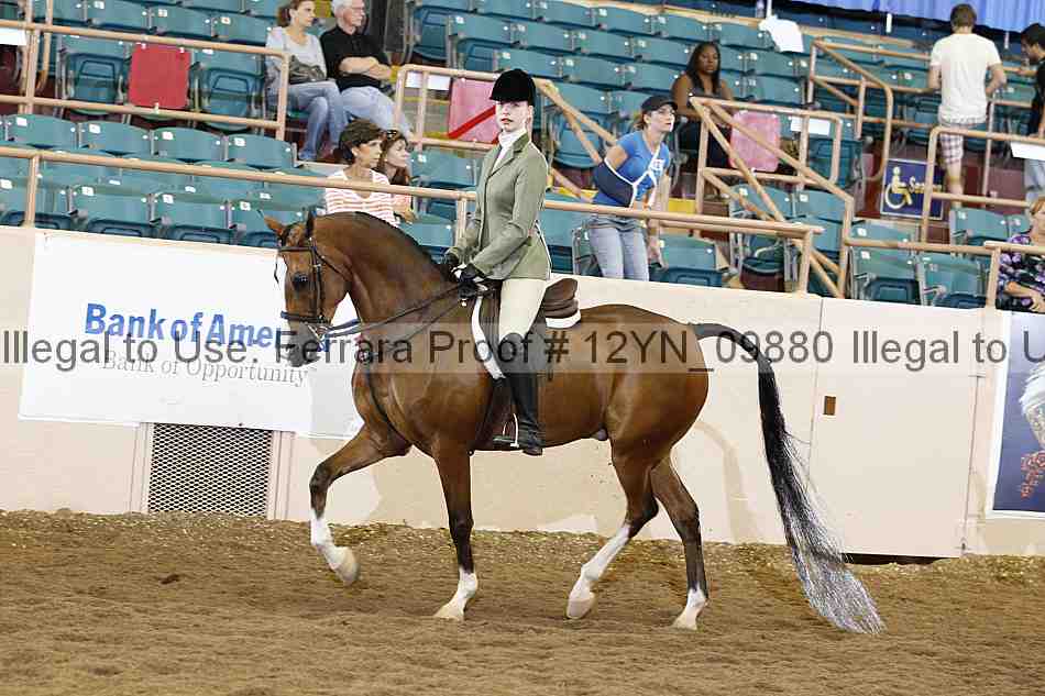 Proof 12yn_09880