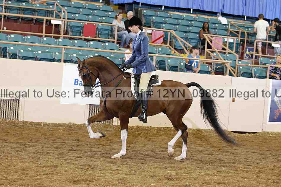 Proof 12yn_09882