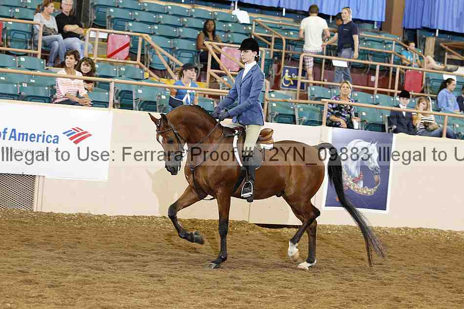 Proof 12yn_09883
