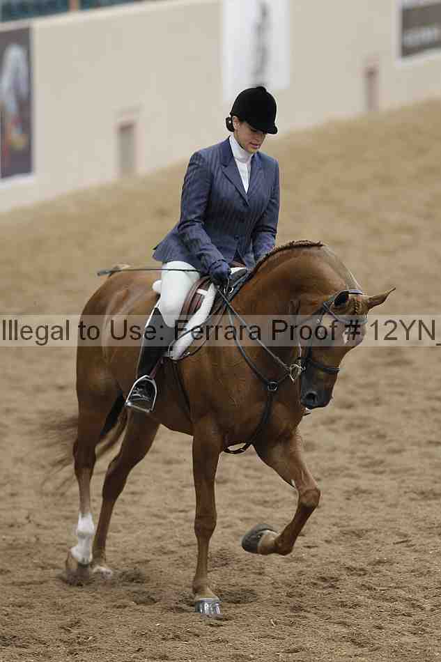 Proof 12yn_09885