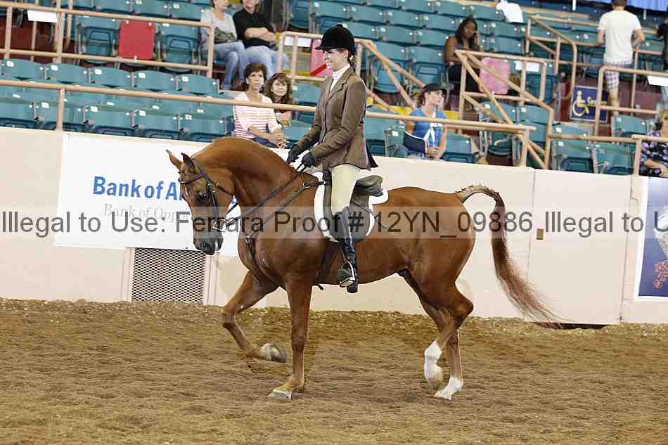 Proof 12yn_09886
