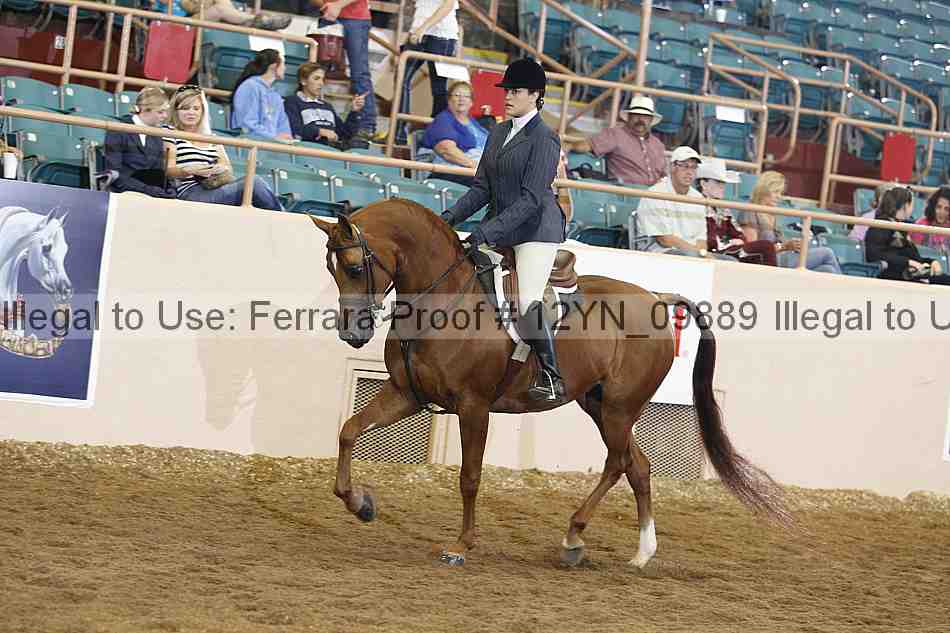 Proof 12yn_09889