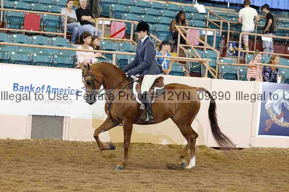 Proof 12yn_09890