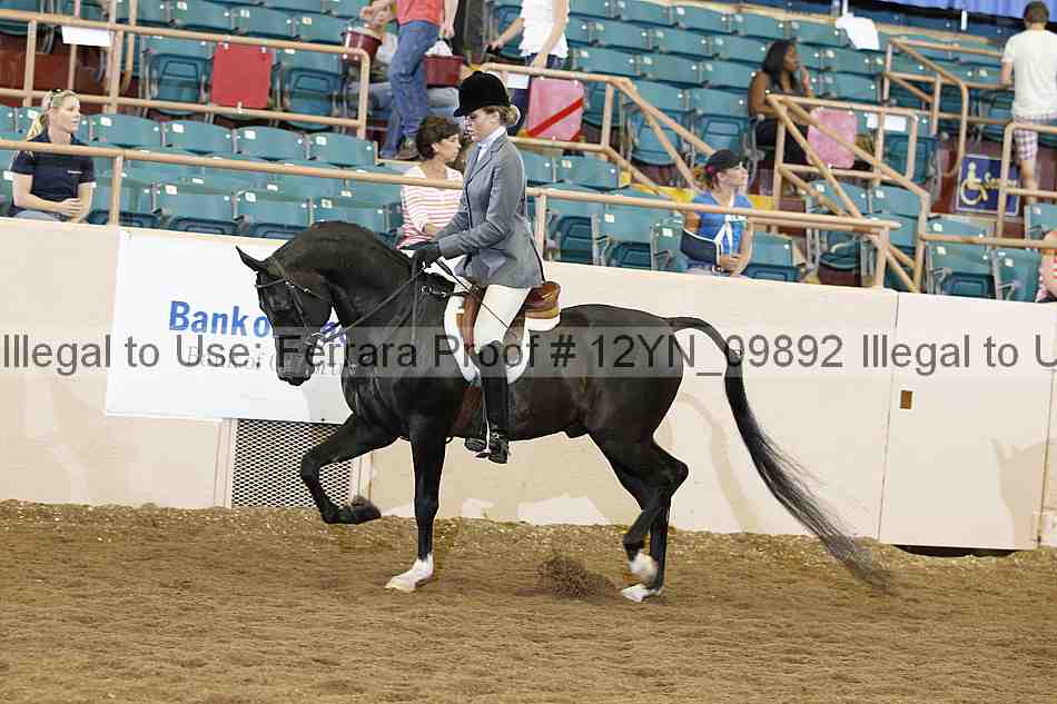 Proof 12yn_09892