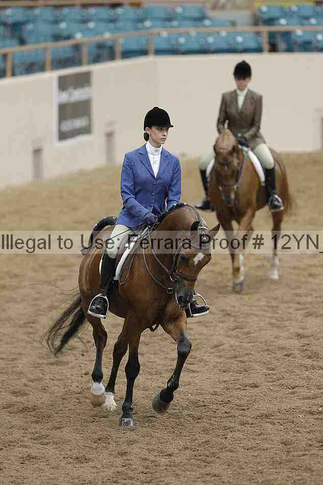 Proof 12yn_09893