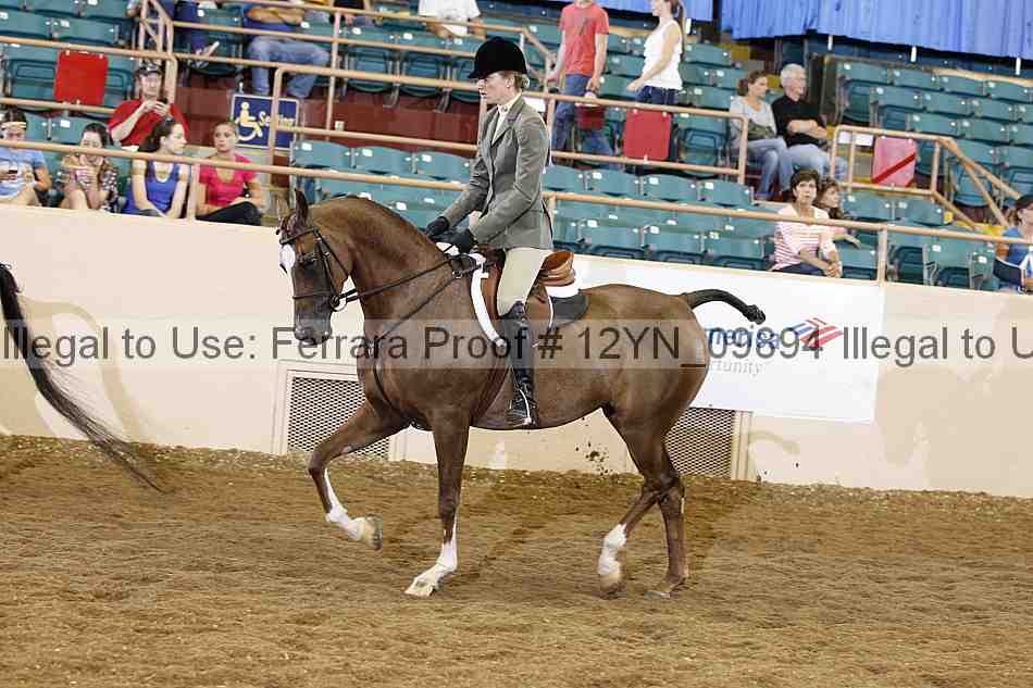 Proof 12yn_09894
