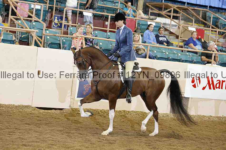 Proof 12yn_09896