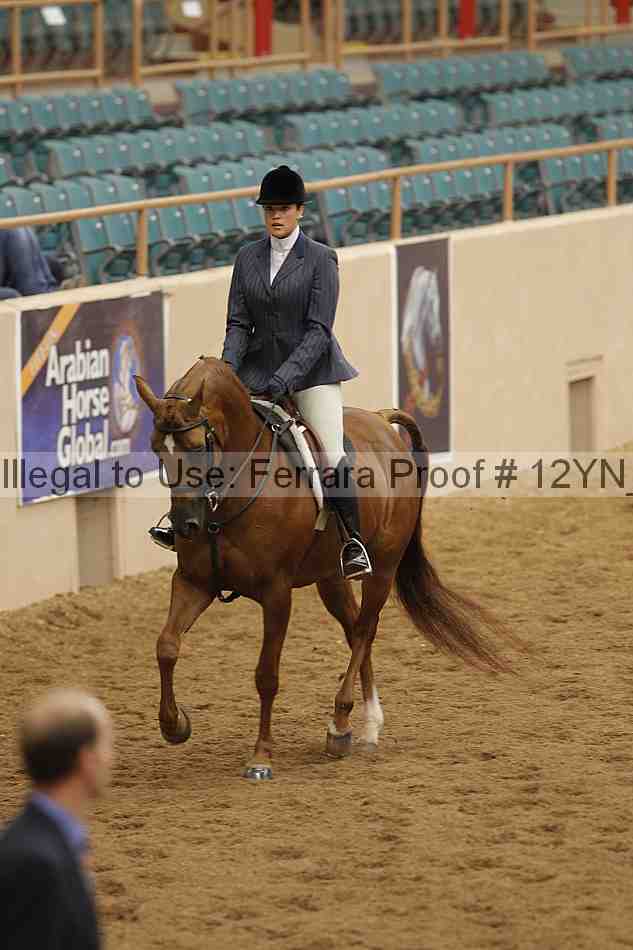Proof 12yn_09897
