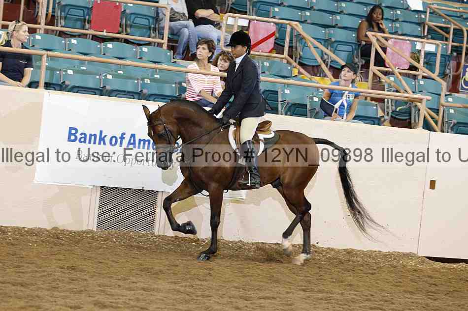 Proof 12yn_09898