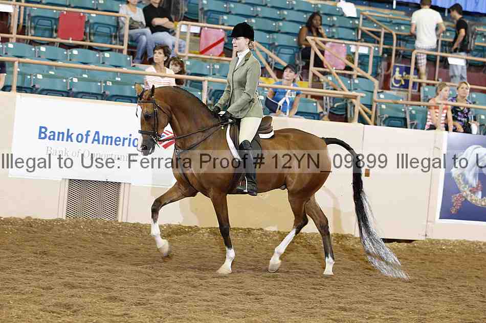 Proof 12yn_09899