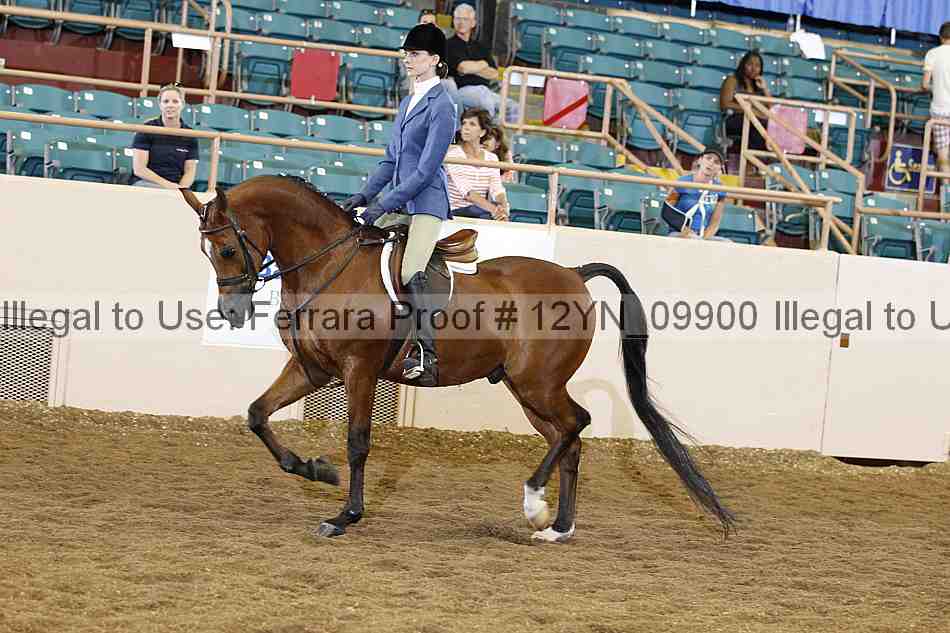 Proof 12yn_09900