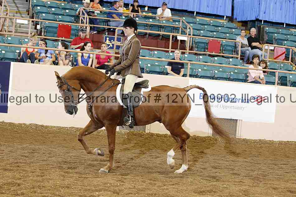 Proof 12yn_09902