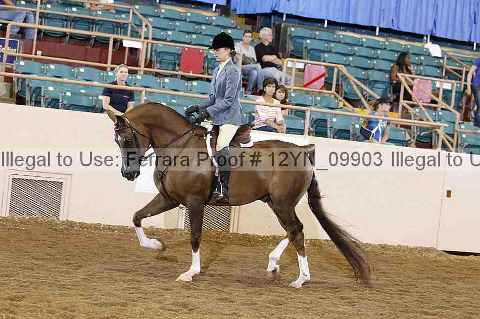 Proof 12yn_09903