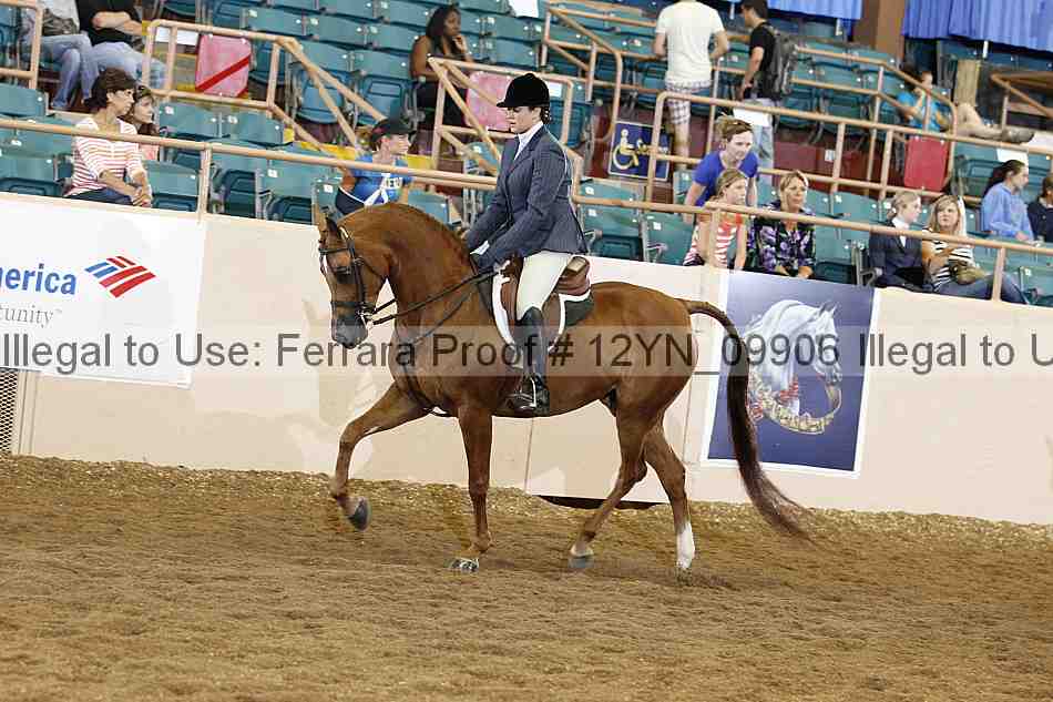 Proof 12yn_09906
