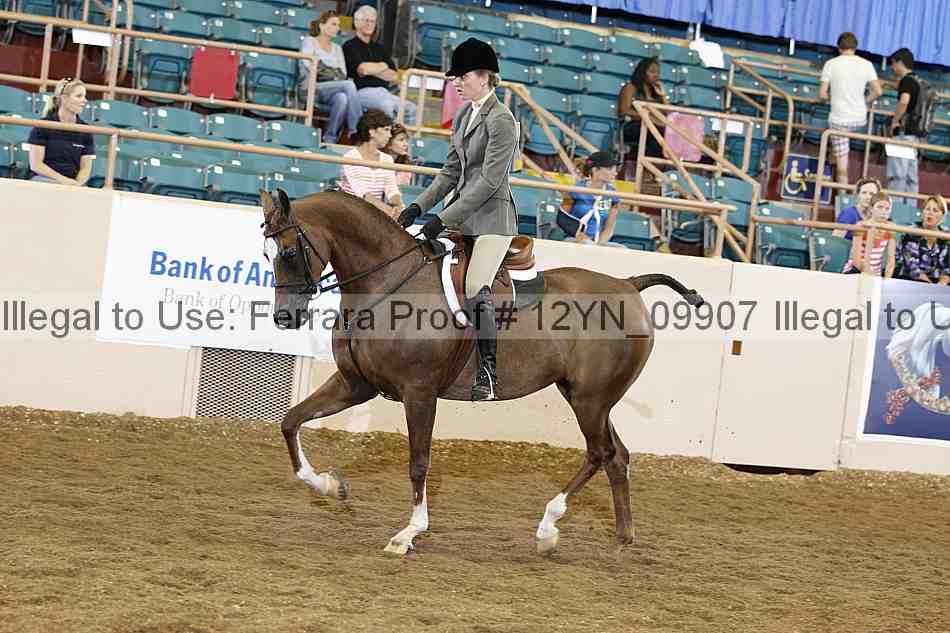 Proof 12yn_09907