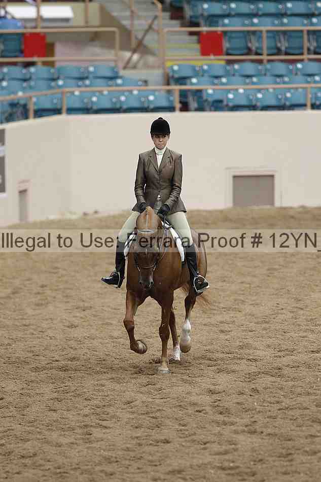 Proof 12yn_09908
