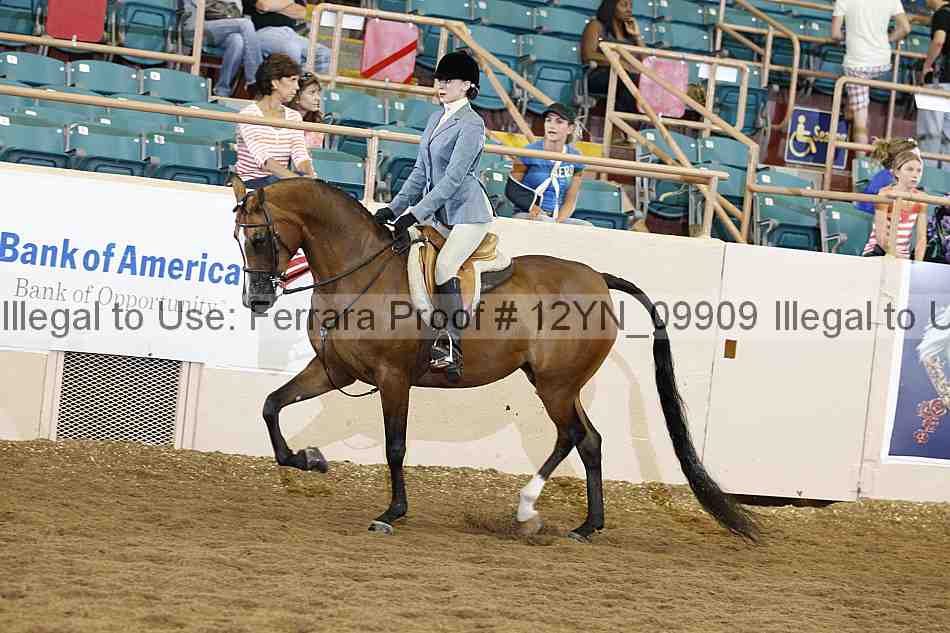 Proof 12yn_09909