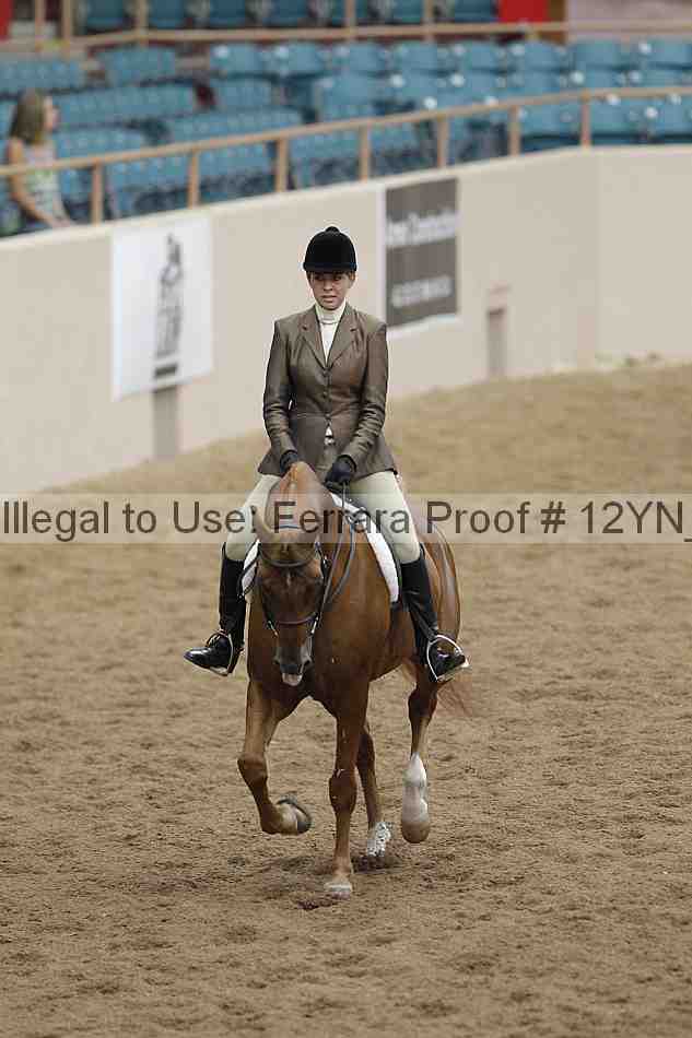 Proof 12yn_09910