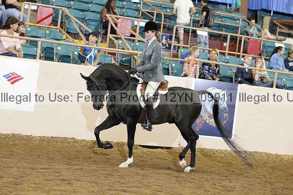 Proof 12yn_09911