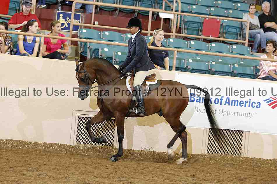 Proof 12yn_09912