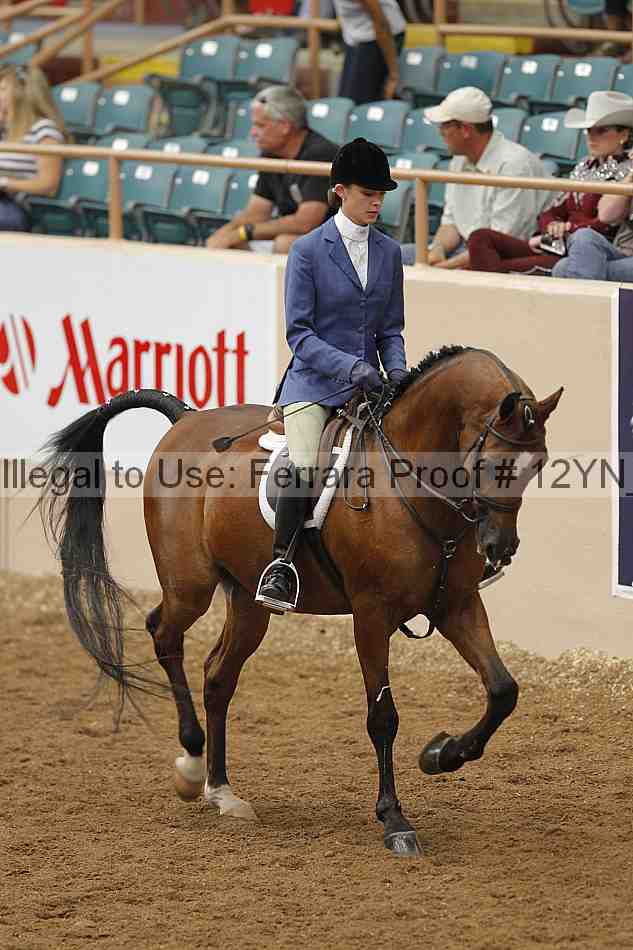 Proof 12yn_09917