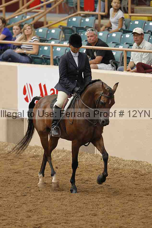 Proof 12yn_09918